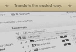 How to translate Custom Community with ease