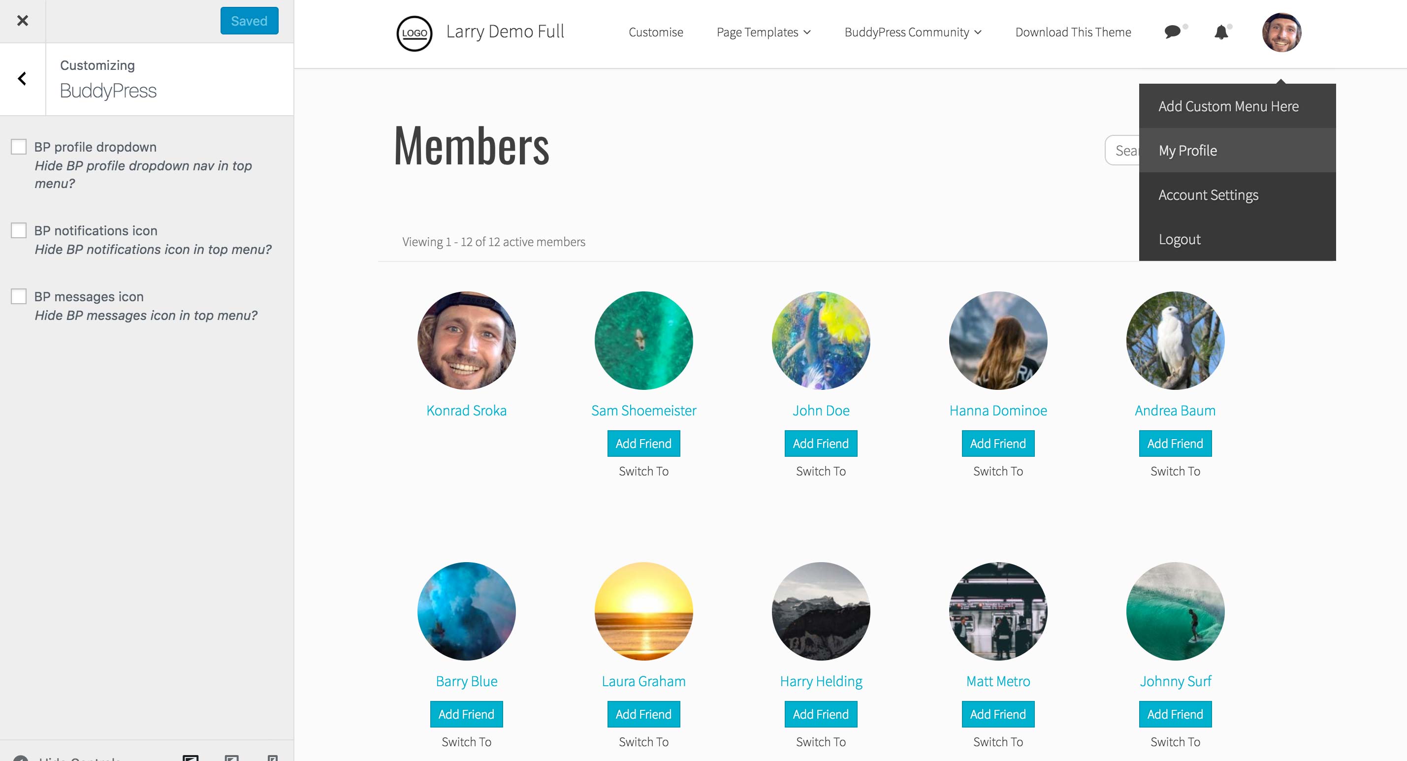 Larry Customizer BuddyPress Options - Screenshot