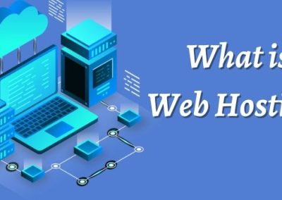 What is Web hosting?