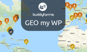 BuddyForms Geo my WP