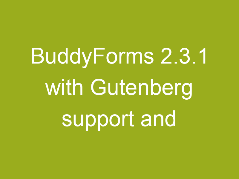 BuddyForms 2.3.1 with Gutenberg support and exciting new extensions under way!