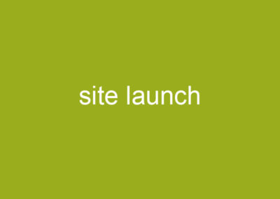 site launch