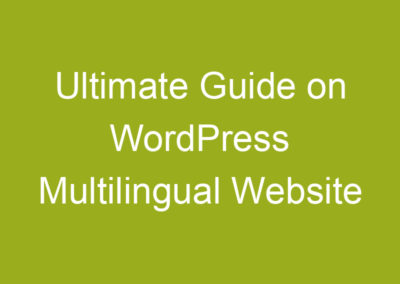 Ultimate Guide on WordPress Multilingual Website
