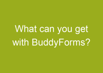 What can you get with BuddyForms?